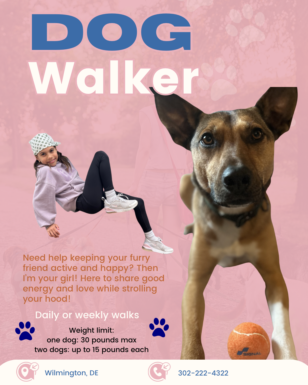 Vera's Paw Patrol dog walking flyer โ Wilmington DE, 302-222-4322